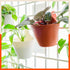KAI Hanging Oval Planters For Home (Ivory White - Set of 5)